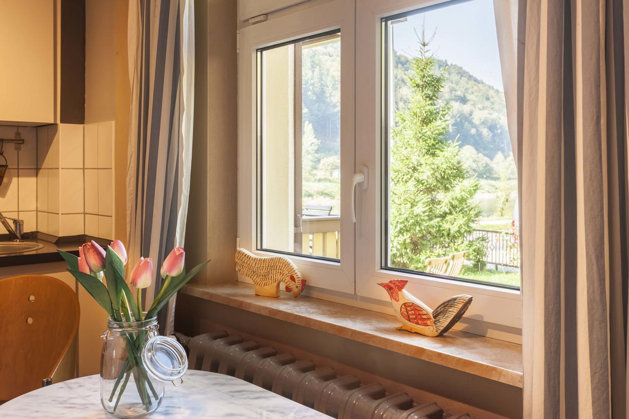 Haus Hohlfeld Apartment Bad Schandau Exterior photo